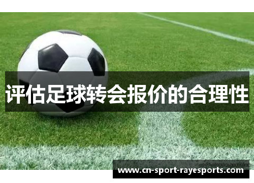 评估足球转会报价的合理性 评估足球转会报价的合理性