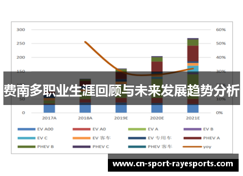 费南多职业生涯回顾与未来发展趋势分析