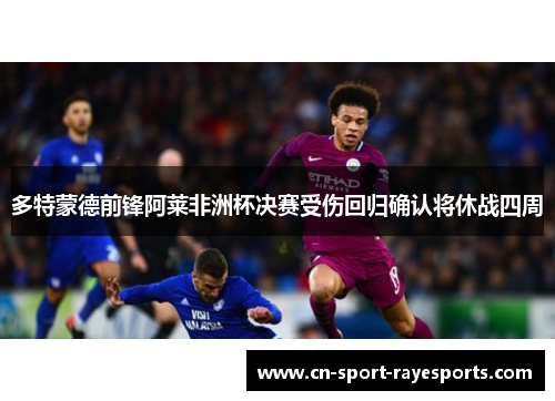 多特蒙德前锋阿莱非洲杯决赛受伤回归确认将休战四周